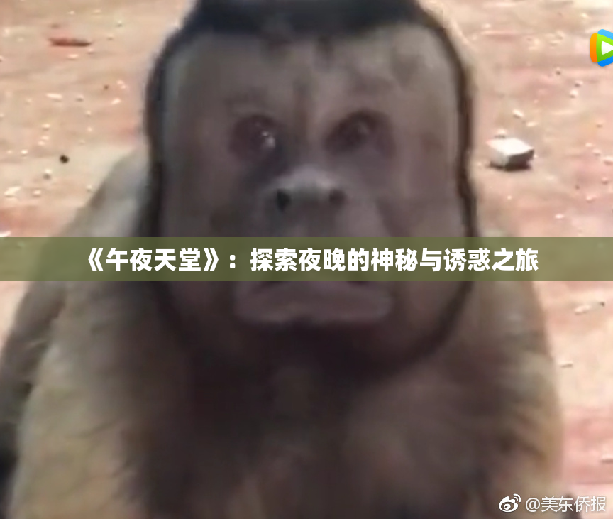 《午夜天堂》：探索夜晚的神秘与诱惑之旅