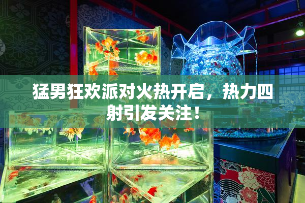 猛男狂欢派对火热开启，热力四射引发关注！