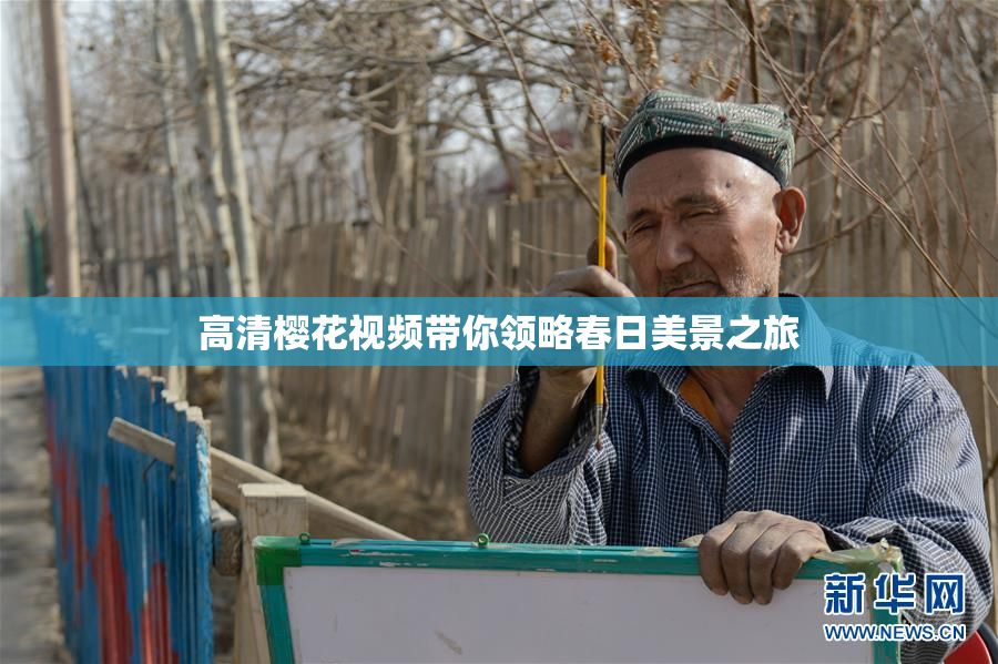高清樱花视频带你领略春日美景之旅