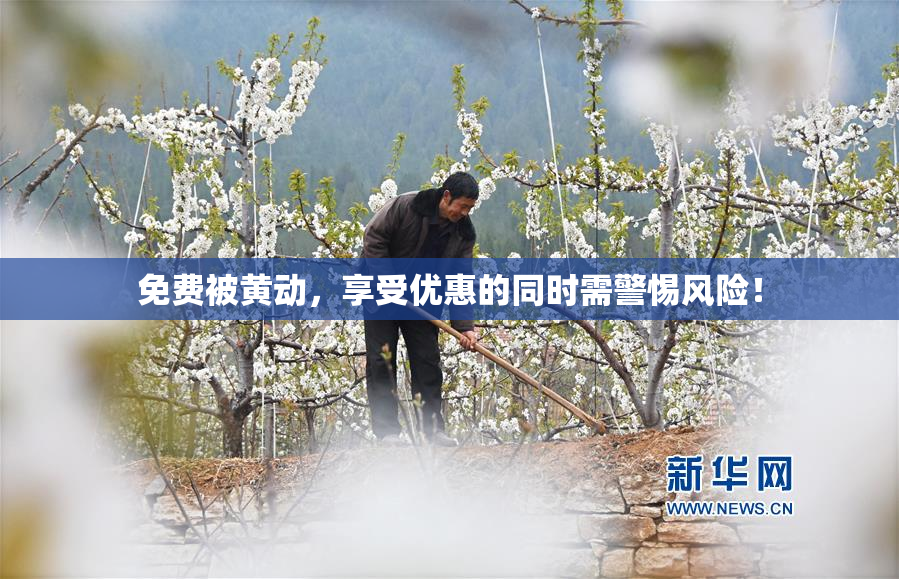 免费被黄动，享受优惠的同时需警惕风险！