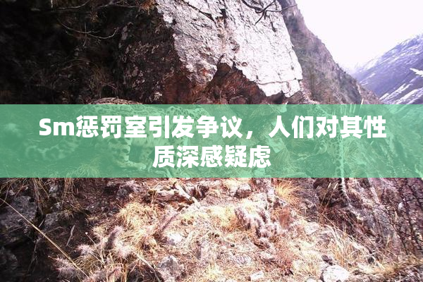 Sm惩罚室引发争议，人们对其性质深感疑虑