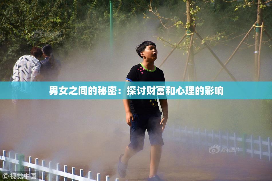 男女之间的秘密：探讨财富和心理的影响