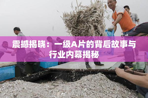 震撼揭晓：一级A片的背后故事与行业内幕揭秘