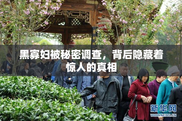 黑寡妇被秘密调查，背后隐藏着惊人的真相