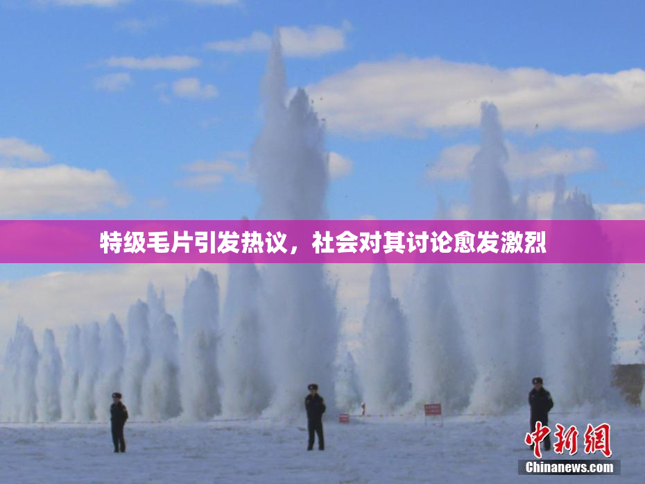 特级毛片引发热议，社会对其讨论愈发激烈