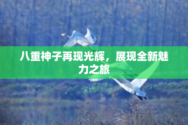 八重神子再现光辉，展现全新魅力之旅