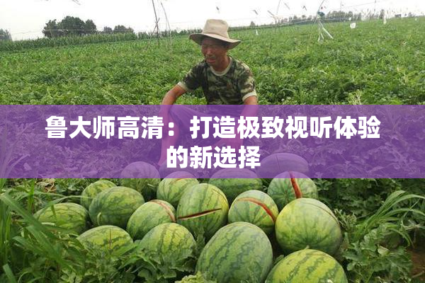 鲁大师高清：打造极致视听体验的新选择
