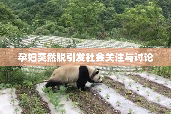 孕妇突然脱引发社会关注与讨论