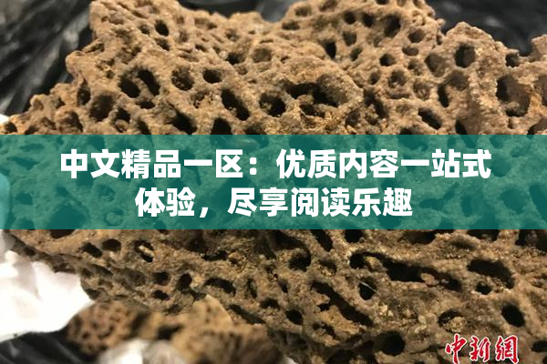 中文精品一区：优质内容一站式体验，尽享阅读乐趣