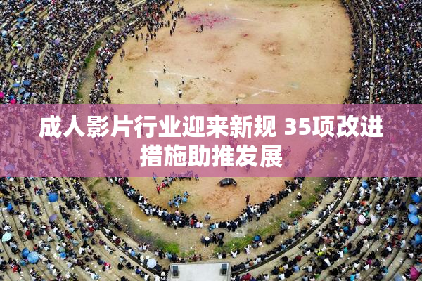 成人影片行业迎来新规 35项改进措施助推发展