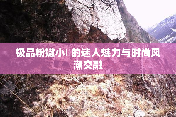 极品粉嫩小泬的迷人魅力与时尚风潮交融