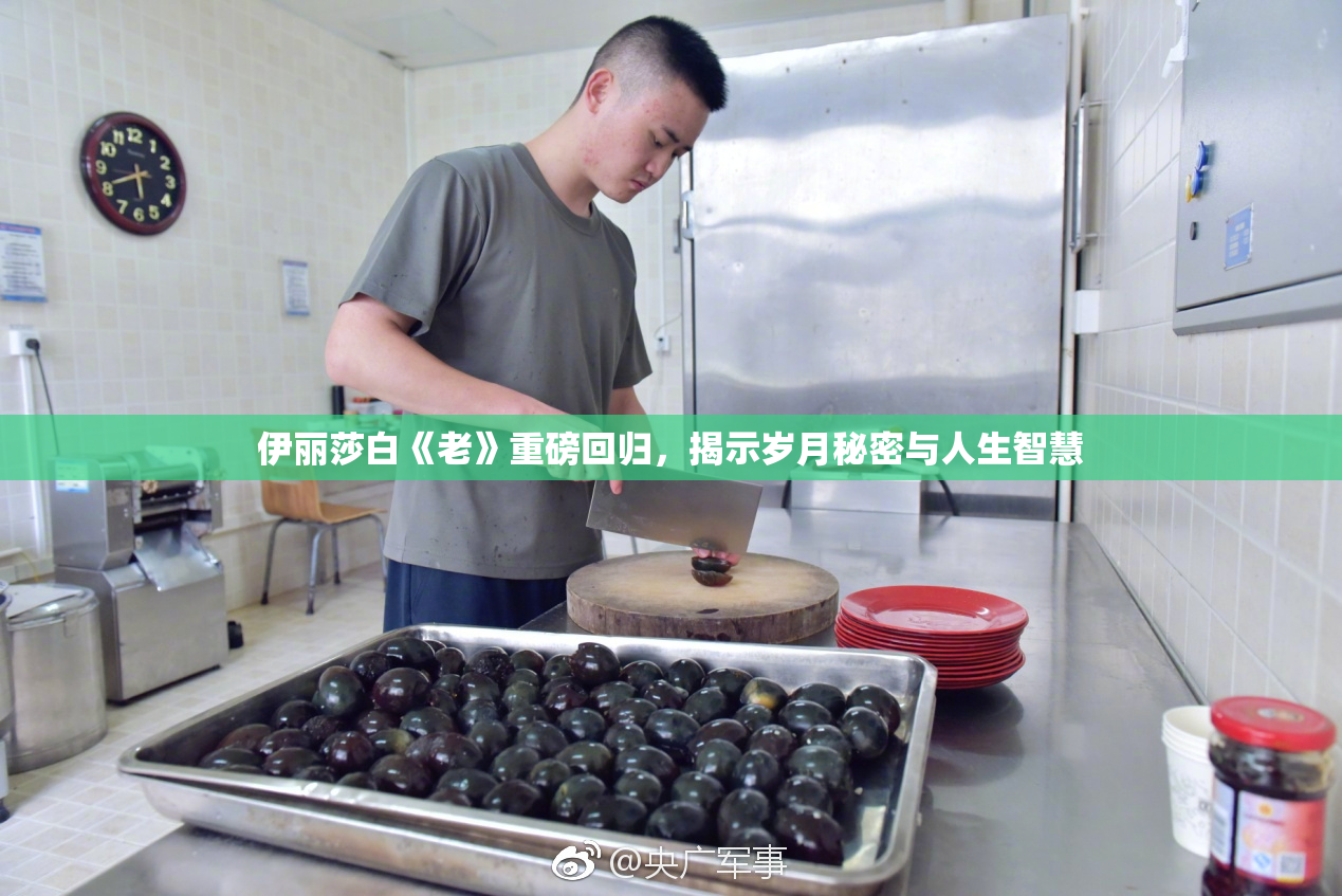 伊丽莎白《老》重磅回归，揭示岁月秘密与人生智慧