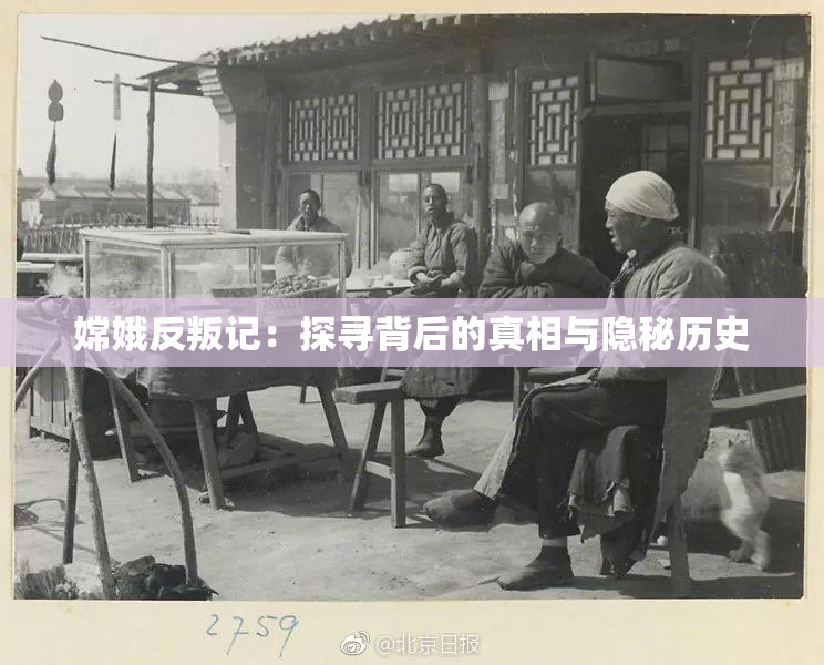 嫦娥反叛记：探寻背后的真相与隐秘历史