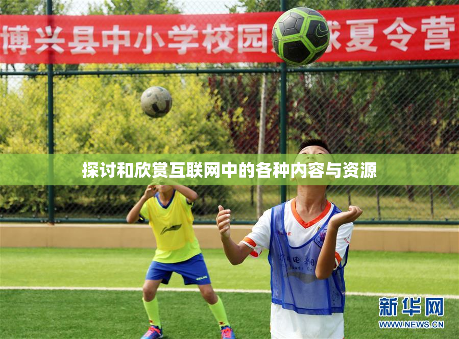 探讨和欣赏互联网中的各种内容与资源