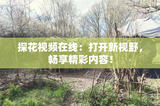 探花视频在线：打开新视野，畅享精彩内容！