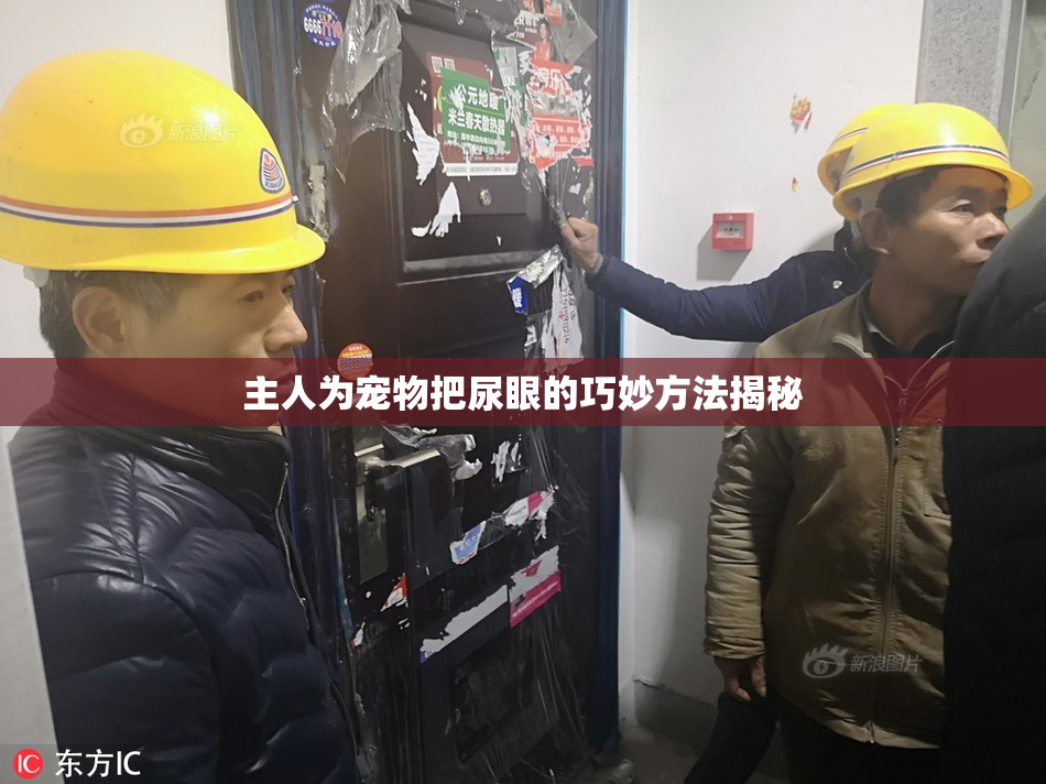 主人为宠物把尿眼的巧妙方法揭秘