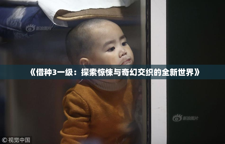 《借种3一级：探索惊悚与奇幻交织的全新世界》
