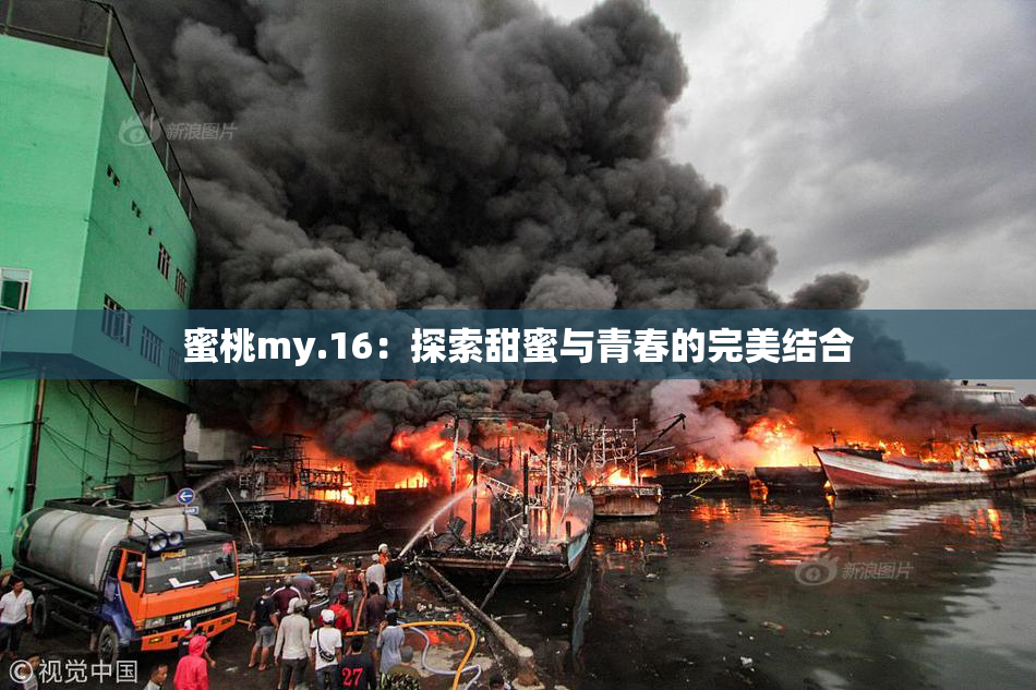 蜜桃my.16：探索甜蜜与青春的完美结合