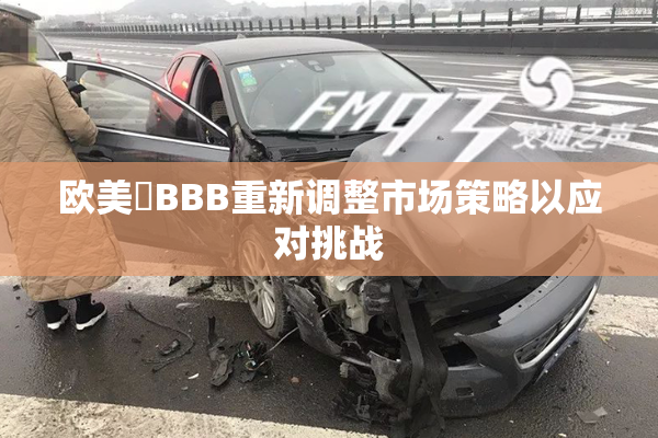 欧美槡BBB重新调整市场策略以应对挑战