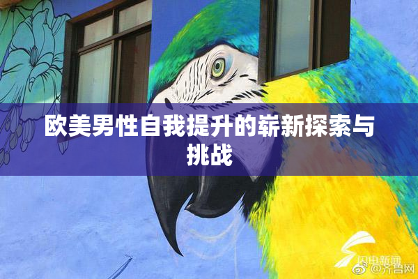 欧美男性自我提升的崭新探索与挑战