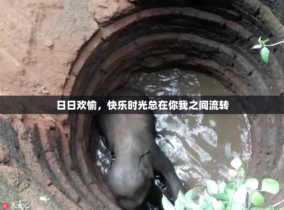 日日欢愉，快乐时光总在你我之间流转