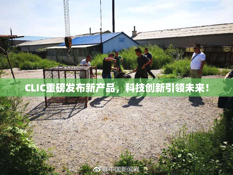 CLIC重磅发布新产品，科技创新引领未来！