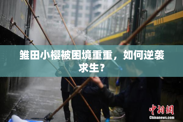 雏田小樱被困境重重，如何逆袭求生？
