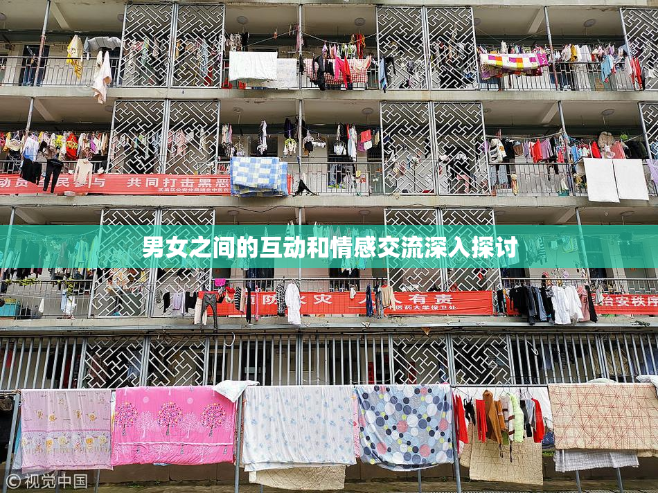 男女之间的互动和情感交流深入探讨