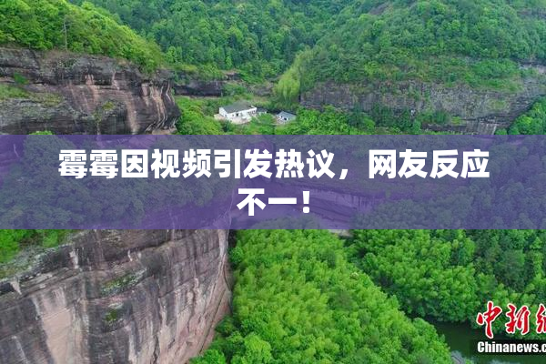 霉霉因视频引发热议，网友反应不一！