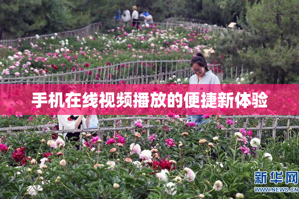 手机在线视频播放的便捷新体验