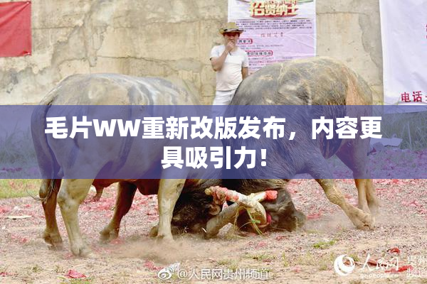 毛片WW重新改版发布，内容更具吸引力！