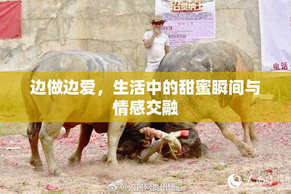 边做边爱，生活中的甜蜜瞬间与情感交融