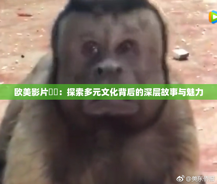 欧美影片❌‌：探索多元文化背后的深层故事与魅力