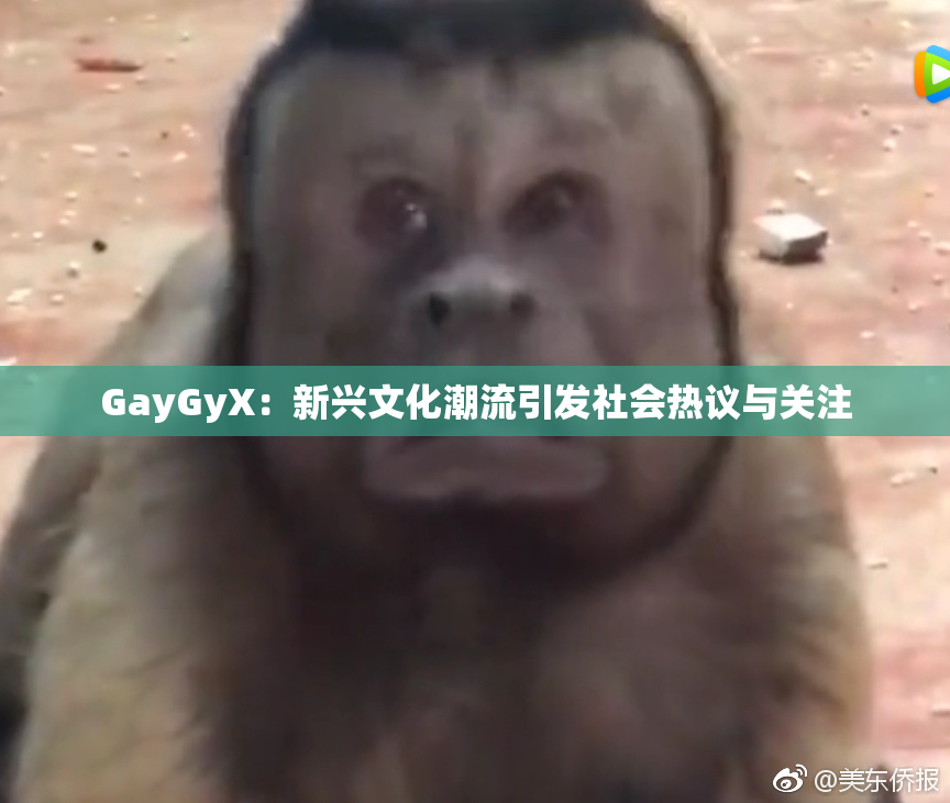 GayGyX：新兴文化潮流引发社会热议与关注