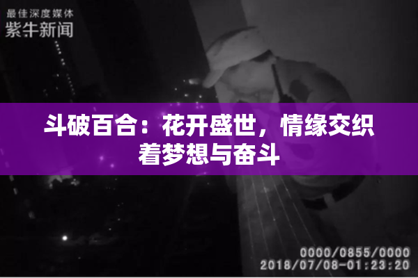 斗破百合：花开盛世，情缘交织着梦想与奋斗
