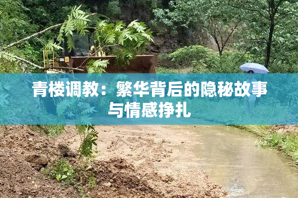 青楼调教：繁华背后的隐秘故事与情感挣扎