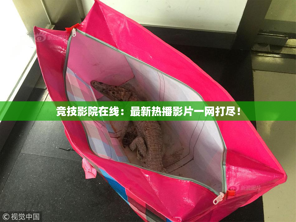 竞技影院在线：最新热播影片一网打尽！