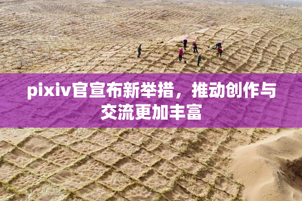 pixiv官宣布新举措，推动创作与交流更加丰富