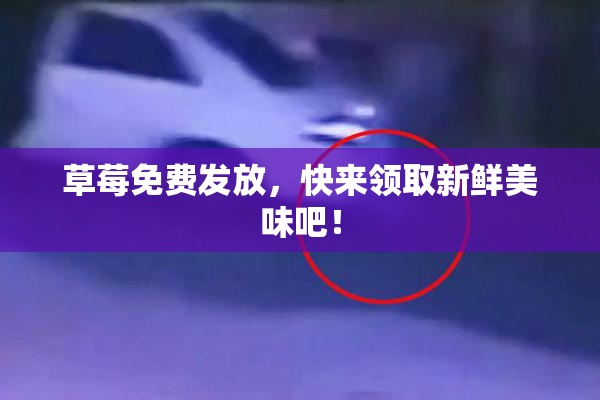 草莓免费发放，快来领取新鲜美味吧！