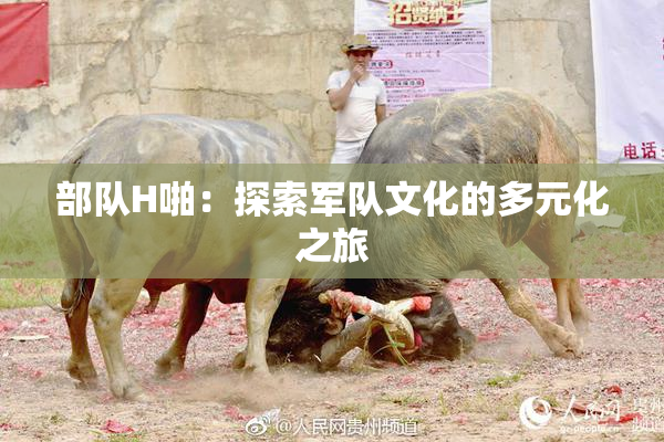 部队H啪：探索军队文化的多元化之旅