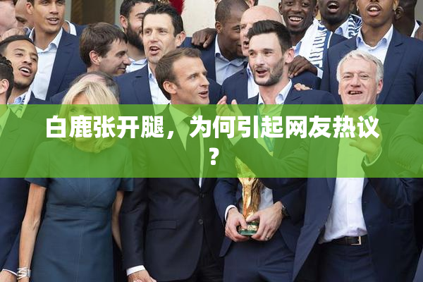 白鹿张开腿，为何引起网友热议？