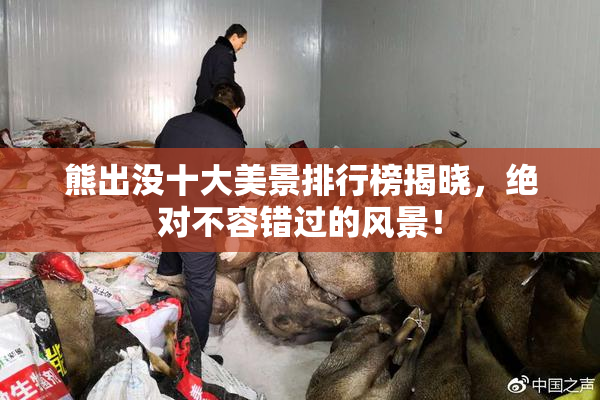 熊出没十大美景排行榜揭晓，绝对不容错过的风景！