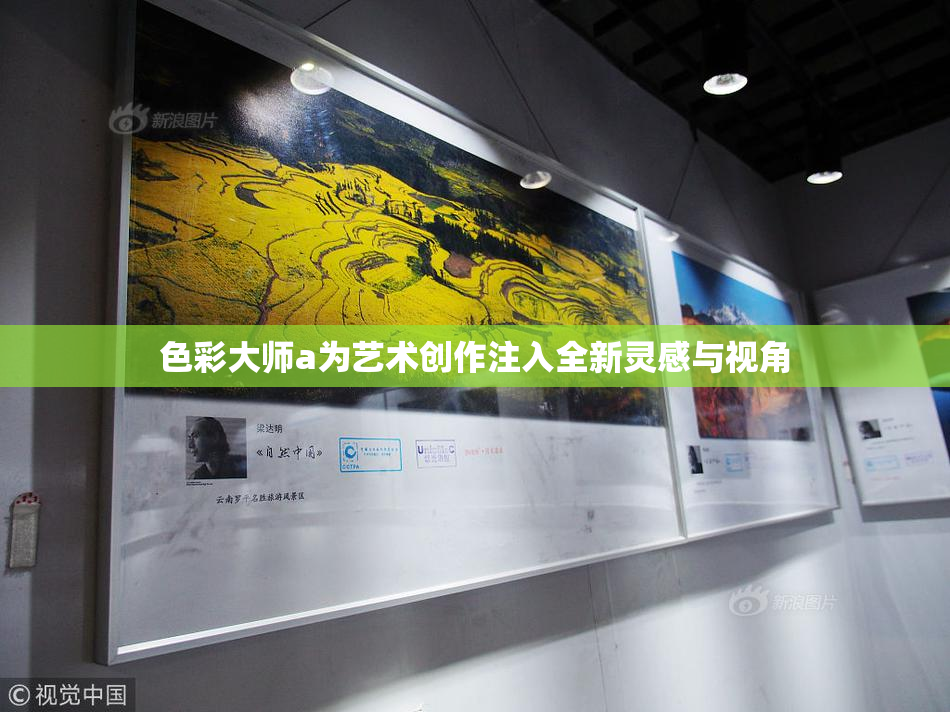 色彩大师a为艺术创作注入全新灵感与视角
