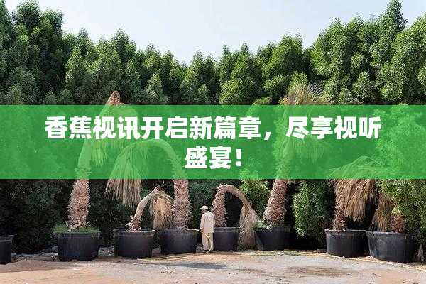 香蕉视讯开启新篇章，尽享视听盛宴！