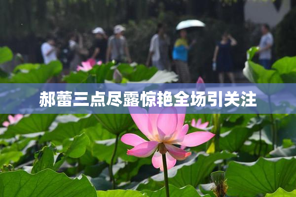 郝蕾三点尽露惊艳全场引关注