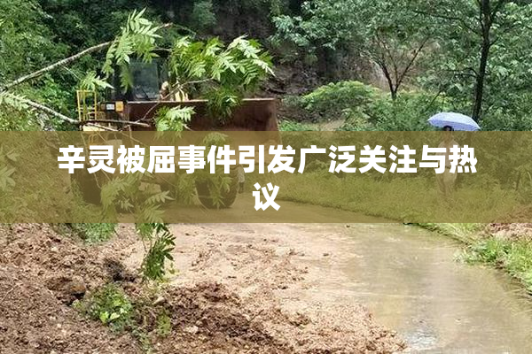 辛灵被屈事件引发广泛关注与热议
