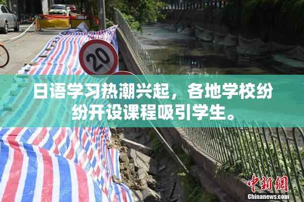 日语学习热潮兴起，各地学校纷纷开设课程吸引学生。