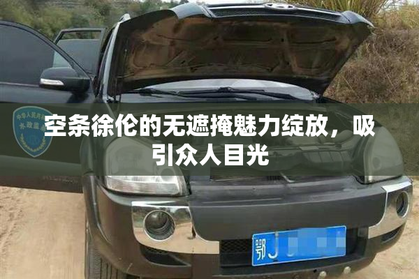 空条徐伦的无遮掩魅力绽放，吸引众人目光