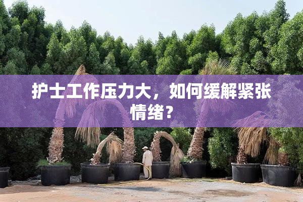 护士工作压力大，如何缓解紧张情绪？