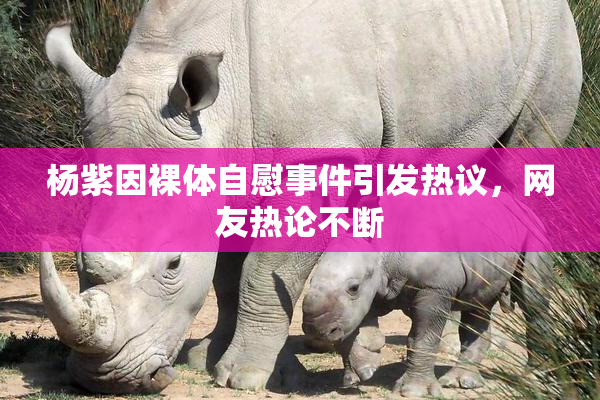 杨紫因裸体自慰事件引发热议，网友热论不断